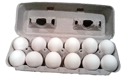 carton of XII eggs